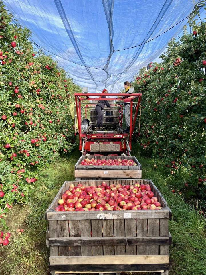 Vente à la ferme
