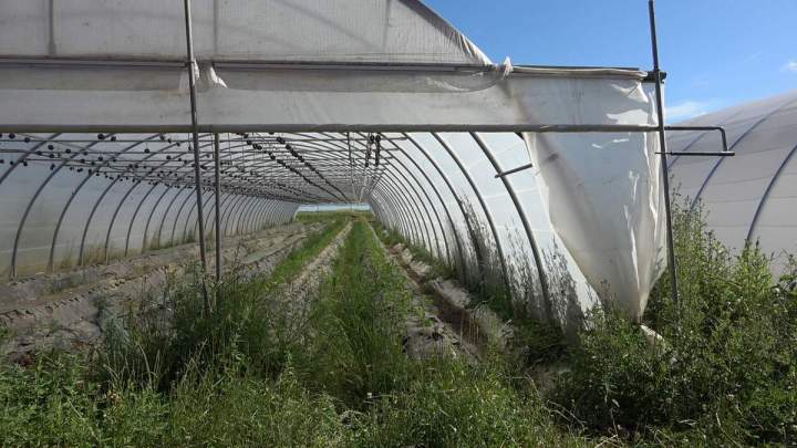 Ferme artisanale France