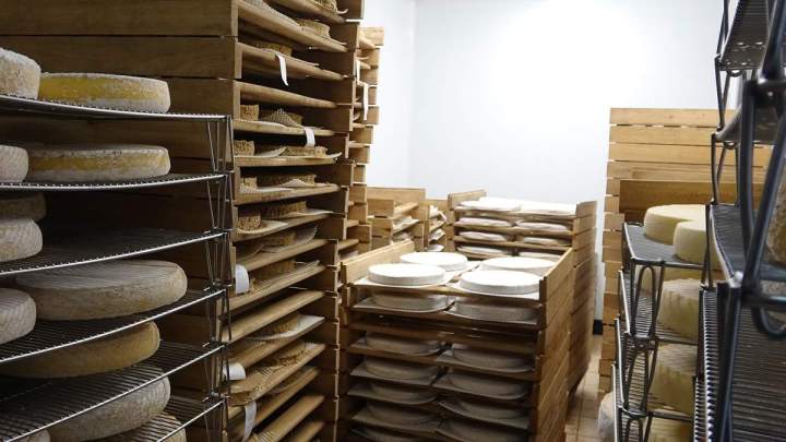 Ferme fromagère Sainte Colombe