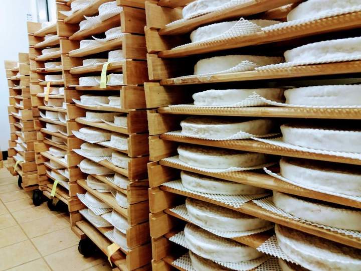 Fromages de ferme Sainte Colombe