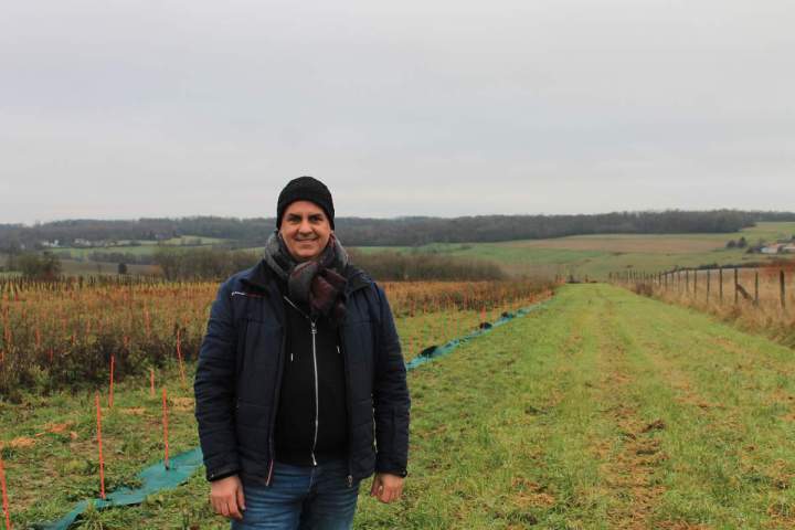 Domaine Le Clos de Verdelot