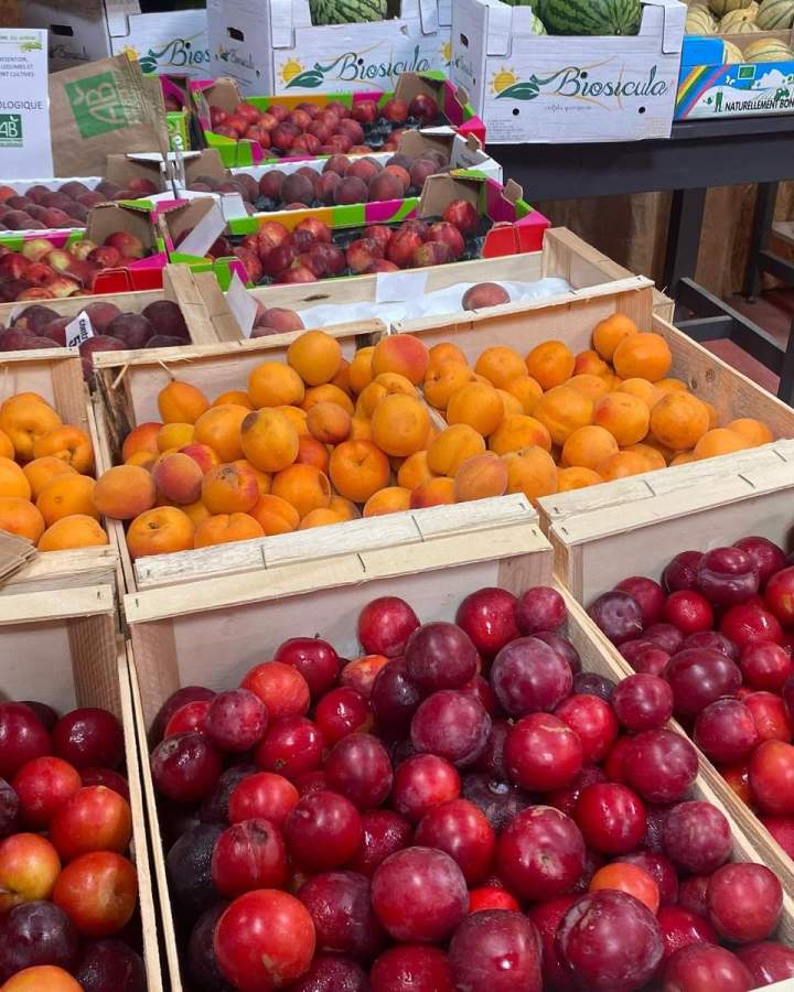 Le bonheur du jardin à Boulogne Billancourt
