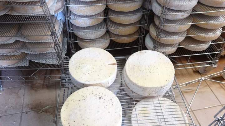 Le goût de la ferme Sainte Colombe