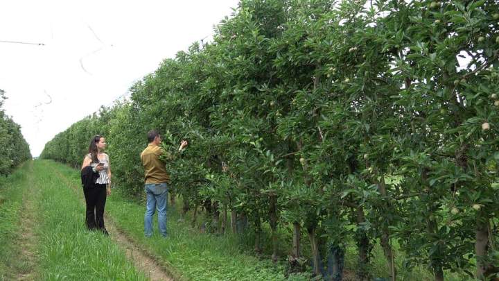 Le marché du terroir français à Sennevières