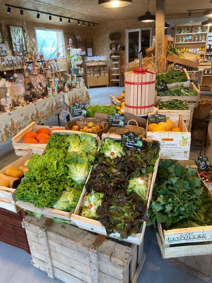 Le vignoble de Verdelot France