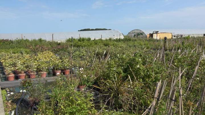 Les ateliers Aubry France