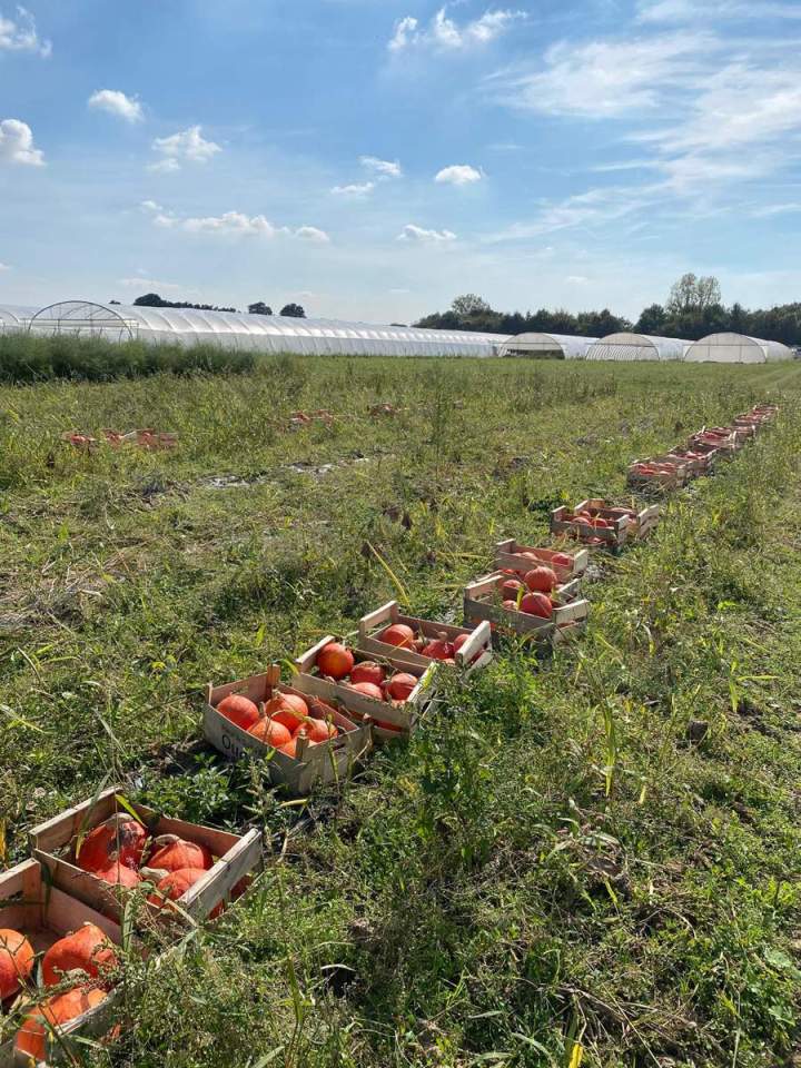 Les saveurs de la ferme Basile France