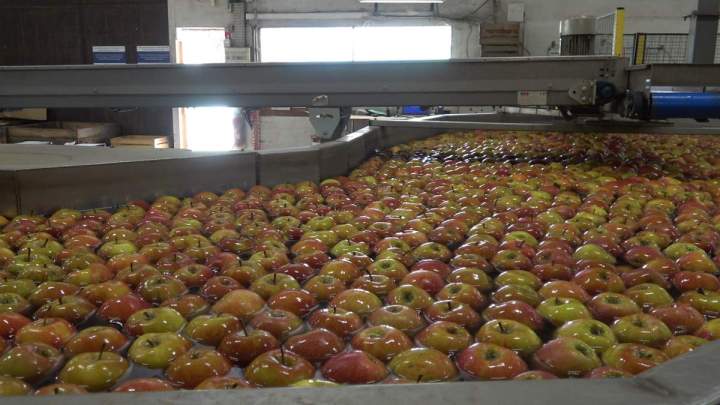 Marché artisanal de Sennevières