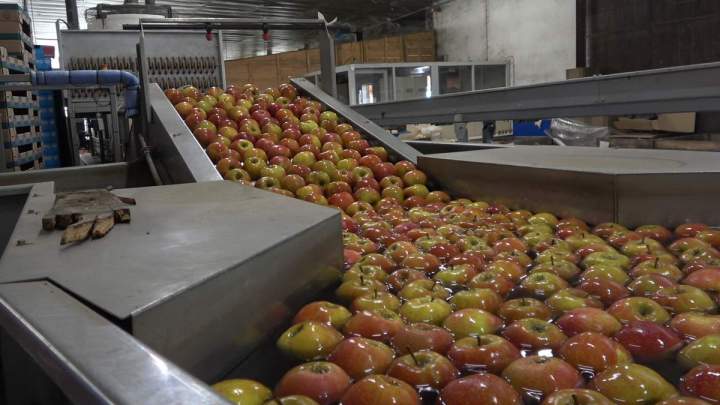 Marché des producteurs locaux Sennevières
