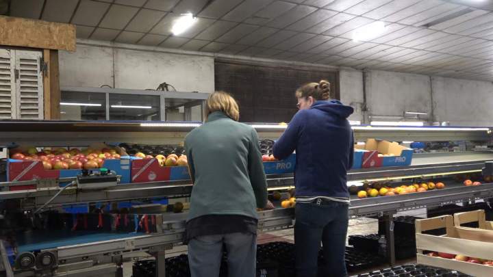 Marché hebdomadaire de Sennevières