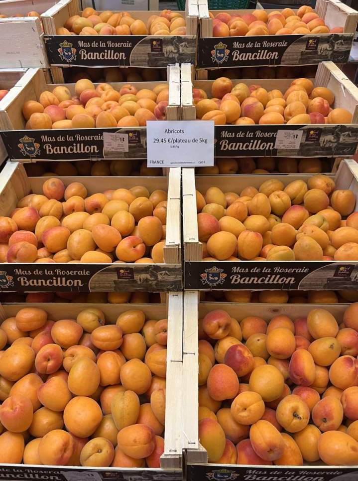 Paysagiste Boulogne Billancourt