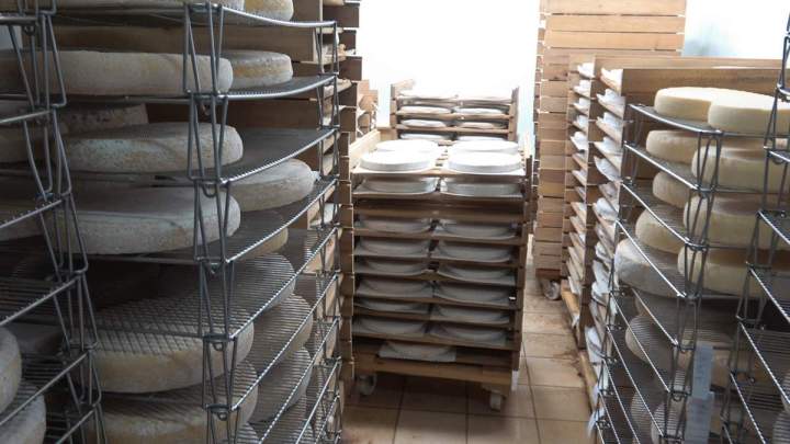 Production de fromages Sainte Colombe
